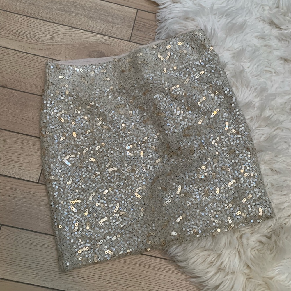 Banana Republic Skirt
